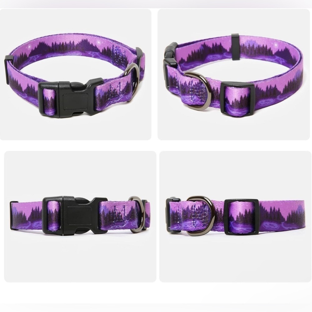 Martingale Dog Collar